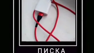 писька