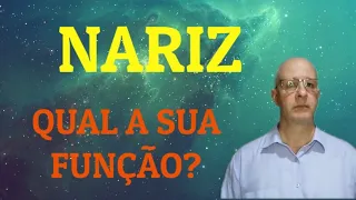 Nariz. Qual a sua função?