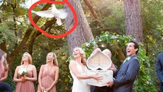 Los RITUALES Mas Extraños En Las BODAS. Las BODAS Mas EXTRAÑAS.😲😲😲. INCREIBLE !!!