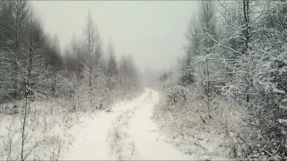 "Чародейкою Зимою околдован, лес стоит" СНЕГ ИДЁТ. Музыка: Antonio Vivaldi - Времена Года