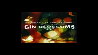 Gin blossoms congratulations i'm sorry«