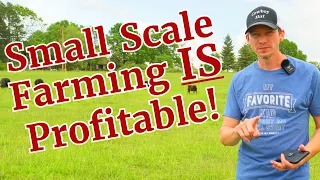 How To Make A Profit On A Small Scale Farm – 5 Things To Consider