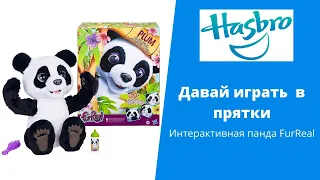 ⭐Интерактивная развивающая игрушка панда🐼FurReal⭐Давай играть в прятки?⭐✈Toyexpress.com.ua✈