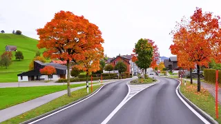 🍂 Golden Autumn in Appenzell Switzerland 🇨🇭 🍁 Autumn Vibes in the Swiss Countryside | #swiss