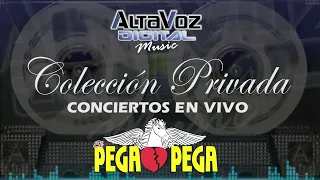 EL PEGAPEGA Concierto Completo 2001/ #AltavozDigitalMusic