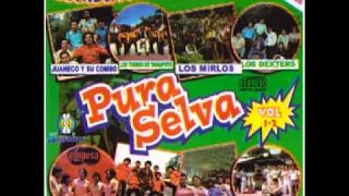 PURA SELVA ♫ - Cumbia Amazónica (2001) -DISCO COMPLETO-