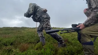 Red deer stalking Scotland