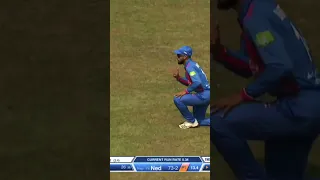 Shahab alam wicket by scott edwards / nep vs ned #nepvsned #nepal #nepalcricketteam