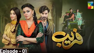 Coming Soon | Fareb - Teaser 01 | Hum Tv - Zainab Shabbir - Mirza Zain Baig #Farebdrama