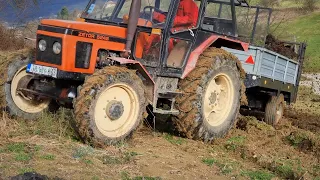 Zetor 6245 & Zetor 5245 - Utovar, vožnja i razbacivanje stajnjaka u januaru (EXTREME)