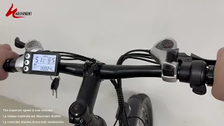 25km/h Speed Limit Operating Guidelines For H02 Ebike