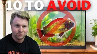 10 Fish to AVOID in Planted Tanks