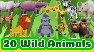 Twenty Wild Animals Name | wild animals for kids #wildanimals