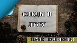 СЛЕДЫ В ЛЕСУ- П. ВОЛЧЕНКО- АУДИОКНИГА СЛУШАТЬ ОНЛАЙН