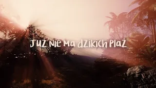 Mateusz Mijal - Już nie ma dzikich plaż (Lyric Video)