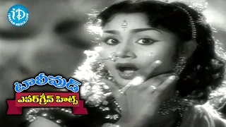 Evergreen Tollywood Hit Songs 301 || Maava Maava Video Song || ANR, Savitri || K V Mahadevan