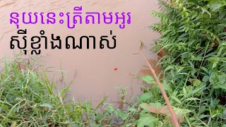 ស្ទូចត្រីនុយជន្លេន តាមអូរភ្លង ត្រីស៊ីគ្រប់ប្រភេទ Fishing for bait fish in all kinds of fish