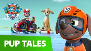 Everest and Zuma Save the Deer! 🦌 PAW Patrol Pup Tales Rescue Episode!