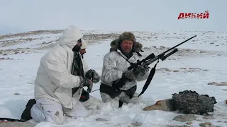 Экспедиции Александра Егорова. Таджикистан. Фрагмент.