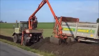 Unimog 421 beim Kompost laden