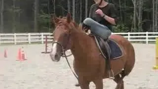 Anna jumps 2,  round  world +backwards somersault off horse