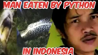 Man eaten by python in Indonesia scary incident. Akbar Salubiro case study Indonesia. Man vs wild