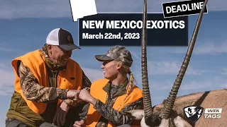 Master the Draw for Oryx, Ibex, and Barbary Sheep in New Mexico | Worldwide Trophy Adventures