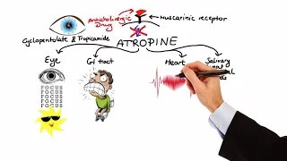 Pharmacology - ANTICHOLINERGIC & NEUROMUSCULAR BLOCKING AGENTS (MADE EASY)