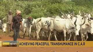CAR: Conference aims to achieve peaceful seasonal migration of herds