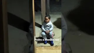 Pedro o menino raiz que so canta Zezé de Camargo e Luciano