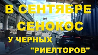 Новосибирск Коммунальный мост Немировича Данченко Сибиряков Гвардейцев Затулинка Зорге Сибирь НСК )