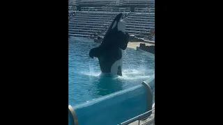 Ulises at SeaWorld San Diego