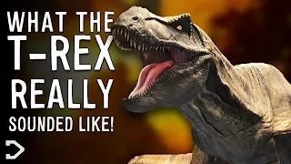 What Did The T-Rex REALLY Sound Like?