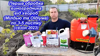 Перша обробка винограду від хвороб по 3-5 листку 2023