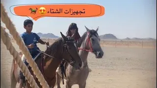 تجهيزات الإسطبل للشتاء👌🏻😍|يوميات المربط🐎