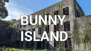 🇯🇵Okunoshima island💀....and it's bunnies🐰