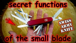 The Secret Functions of the Small Blade in the Swiss Army Knife