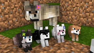 Wolf Life 1: Wolf And His Family - Minecraft Animation