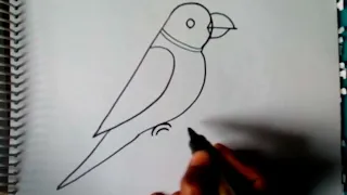 HOW TO DRW PARROT./ simple bird drawing/ easy to draw