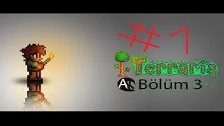 Terraria ► 1. Ковёр самолёт