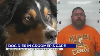 Dog dies in Lewis County groomer's care