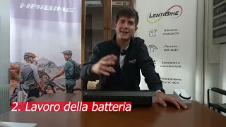 Batteria - Manutenzione Ordinaria eBike - Come massimizzare la vita della tua bicicletta elettrica