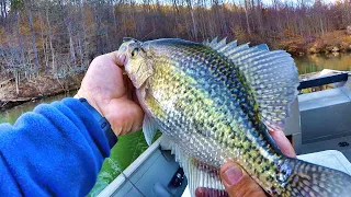 A Crappie Fishing Bait Second To None!
