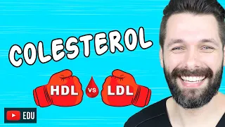COLESTEROL - Bom HDL - Ruim LDL e VLDL | Biologia com Samuel Cunha