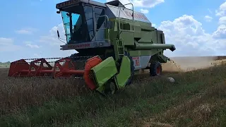 🔥Żniwa 2023 🔥🚨Claas dominator 98 🔥🚨