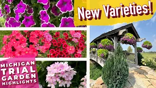 New Varieties Tour at the Proven Winners Display Gardens and Container Inspiration