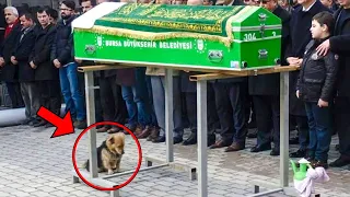 This Dog Attended His Owner's Funeral, And You Won't Believe What Happened Next..