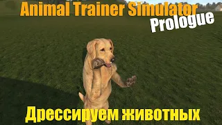 Animal Trainer Simulator: Prologue - Дрессируем животных