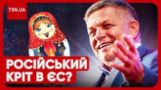 😨 Московський слід на виборах в Словаччині!? Чи є загроза Україні та яка реакція США?