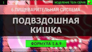 1.6.9 🎧 Здоровье Подвздошной Кишки, Тонкая Кишка ГЛУБОКОЕ ИСЦЕЛЕНИЕ (резонансный саблиминал)